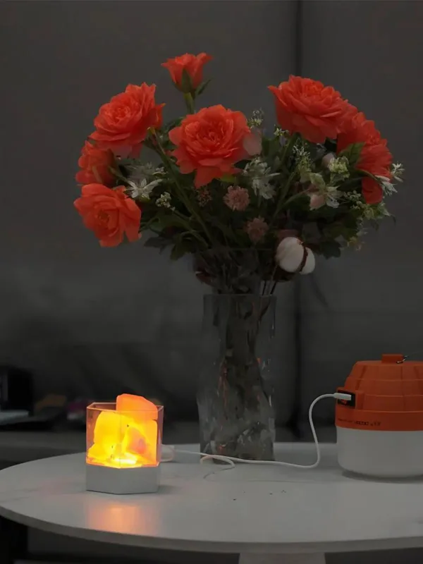 Himalayan Salt Lamp - مصباح ملح الهيمالايا الطبيعي LED E5،